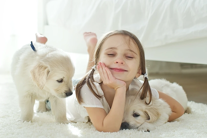 Images_800x533HeatPumps HVAC in Hamilton Comfort Plus Heat Pump Experts